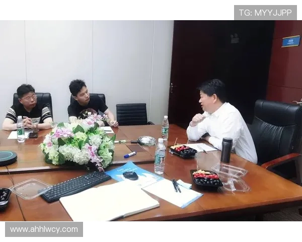 深入分析上海滑板队的运营策略与发展模式探讨