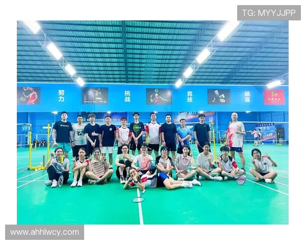 深圳羽毛球队与南京羽毛球队赛后复盘团队协作分析与经验总结