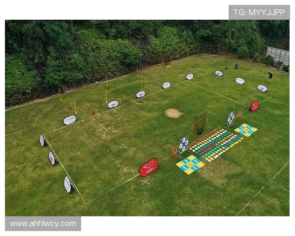 深度解析上海飞盘队实力对比与战术布局的全景分析