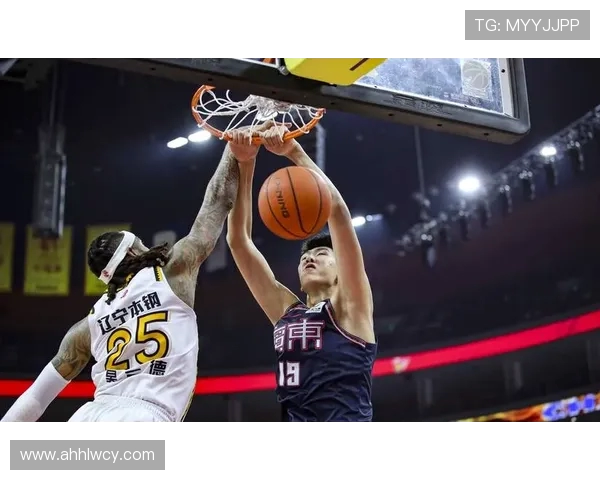 辽宁对阵广东精彩比赛录像回放全程回顾与分析